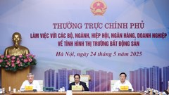 Thủ tướng yêu cầu khẩn trương ban hành chính sách đánh thuế bất động sản đối với đất, nhà ở không sử dụng