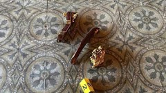 Yêu cầu UBND TP Huế  xử lý trách nhiệm của cá nhân, tổ chức liên quan