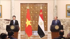 Tuyên bố chung nâng cấp quan hệ Đối tác Toàn diện Việt Nam - Ai Cập