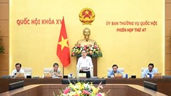 Xem xét, quyết định nhiều nội dung quan trọng