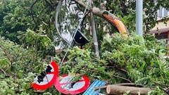 Tập trung khắc phục hậu quả bão số 5 và ứng phó mưa lũ sau bão