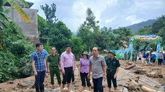 Thủ tướng yêu cầu bảo đảm tổ chức Lễ khai giảng năm học mới cho học sinh