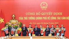 Thủ tướng trao quyết định bổ nhiệm lãnh đạo 8 bộ, cơ quan