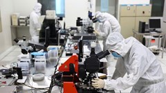 Chính phủ ban hành cơ chế, chính sách đặc biệt thu hút chuyên gia khoa học, công nghệ, đổi mới sáng tạo và chuyển đổi số