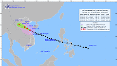 7g sáng mai 29.9, dự báo bão số 10 đổ bộ Nghệ An-Hà Tĩnh 