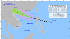 Bão số 11 giật cấp 14, Thủ tướng yêu cầu sẵn sàng ứng phó