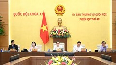 Ủy ban Thường vụ Quốc hội sẽ cho ý kiến về dự án Luật Báo chí (sửa đổi)