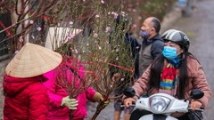 Tết Bính Ngọ được nghỉ 9 ngày liên tục