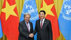 Việt Nam là hình mẫu của một trong những câu chuyện phát triển thành công trên thế giới