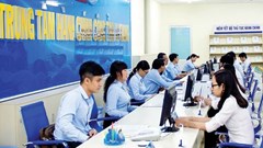 Nhiệm vụ rất quan trọng, cấp bách, cần khẩn trương tập trung hoàn thành
