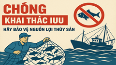 Thủ tướng yêu cầu triển khai quyết liệt các nhiệm vụ, giải pháp cấp bách, trọng tâm chống khai thác IUU
