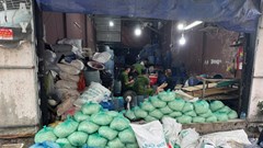 Sản xuất hơn 1.000 tấn giá đỗ bằng hóa chất, 4 người bị khởi tố