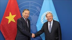 Tổng Bí thư, Chủ tịch nước Tô Lâm gặp Tổng Thư ký Liên Hợp Quốc  António Guterres