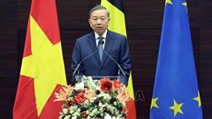 Phát biểu của Tổng Bí thư, Chủ tịch nước Tô Lâm tại Viện Quan hệ Quốc tế Hoàng gia Egmont