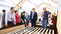 Khai mạc Hội chợ Quốc tế Hàng phong cách ngoài trời tại Quy Nhơn 2025