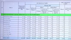 Lấy ý kiến, Bình Định có hơn 98% cử tri đồng ý sáp nhập với tỉnh Gia Lai
