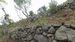 Cho phép khai quật khảo cổ tại 3 địa điểm thuộc di tích Trường Lũy Bình Định