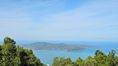 Đánh thức “viên ngọc xanh” giữa lòng thành phố biển Quy Nhơn