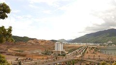 Đấu thầu lựa chọn nhà đầu tư