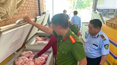 Gia Lai tiêu hủy hơn 4 tấn thịt heo không rõ nguồn gốc
