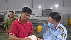 Gia Lai tiêu hủy hơn 100 tấn thịt lợn không rõ nguồn gốc
