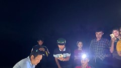 Thả 11 cá thể rùa vừa “chào đời” về môi trường biển tự nhiên 