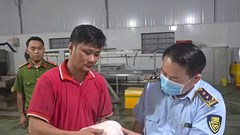 Gia Lai: Phạt 90 triệu đồng hộ kinh doanh lưu trữ hơn 100 tấn thịt lợn không nguồn gốc