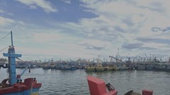 Khẩn trương kêu gọi 141 tàu cá Gia Lai di chuyển khỏi vùng nguy hiểm bão Bualoi