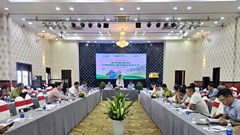 Tìm giải pháp đưa sản phẩm gỗ Việt Nam tiếp tục vào thị trường châu Âu