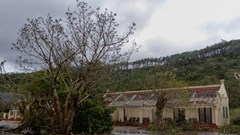 Gia Lai hỗ trợ 6 tỉ đồng giúp đồng bào các tỉnh bị thiệt hại do bão Bualoi