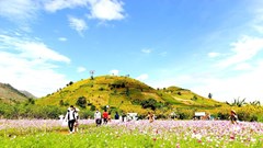 Gia Lai hướng tới mục tiêu tăng trưởng 2 con số