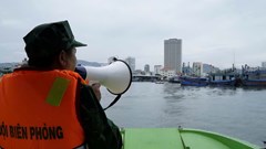 Gia Lai: Khẩn trương kêu gọi gần 1.900 tàu vào bờ tránh trú bão số 12