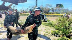 Gia Lai làm việc 2 ngày cuối tuần để khắc phục hậu quả do bão số 13 gây ra