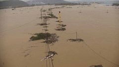 Mưa lớn, Gia Lai chủ động sơn tán dân ra khỏi các khu vực nguy hiểm