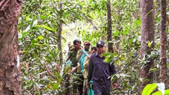 Gia Lai thả 8 cá thể động vật rừng quý hiếm về môi trường tự nhiên