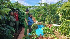 Một phụ nữ bị bắt quả tang vì trộm cắp cà phê 