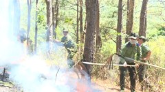 Gia Lai căng mình giữ rừng giữa mùa nắng nóng