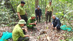 Tăng cường bảo vệ đa dạng sinh học, nguồn lợi thủy sản tại Gia Lai