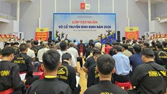 Hơn 100 võ sư, HLV, các lò võ tiêu biểu tham gia tập huấn Võ cổ truyền Bình Định