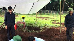 Gia Lai tìm thấy hài cốt liệt sĩ cùng nhiều di vật tại rẫy cà phê ở Ia Phí