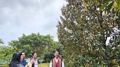 Gia Lai siết chặt quản lý mã số vùng trồng, cơ sở đóng gói