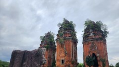 Rắn Naga, sư tử: Những kiệt tác từ đá hướng tới danh hiệu bảo vật quốc gia