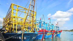Gia Lai gỡ “thẻ vàng” EC: Siết quản lý, ngư dân chủ động vươn khơi chống IUU