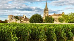Du lịch rượu vang đánh thức di sản nông nghiệp toàn cầu
