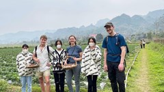 Nam Cường đang hút khách với bàn tay Tài Ngào và vườn dâu Cọn Poỏng