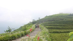 Vì sao Việt Nam lọt top 20 điểm đến “trốn rét” lý tưởng nhất thế giới?