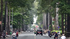 TP.HCM “đổi khí hậu”, buổi sáng se lạnh như cao nguyên