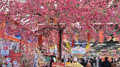 Thị trường Tết khởi động sớm tại siêu thị và chợ lớn