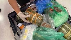 Lo ngại dịch tả lợn châu Phi, nhiều nước kiểm soát chặt thực phẩm khách mang theo người