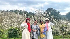 Mùa xuân Mộc Châu không chỉ có hoa mận nở…